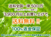 �o�i�[