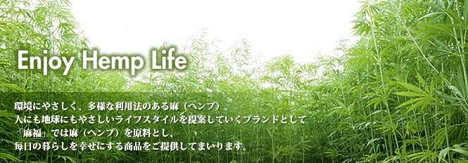 �L�[�r�W���A��
