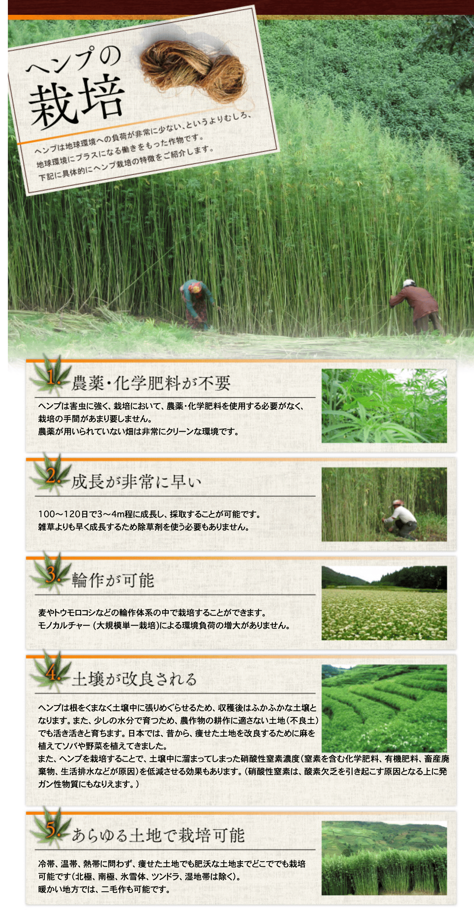 ヘンプ入門 7