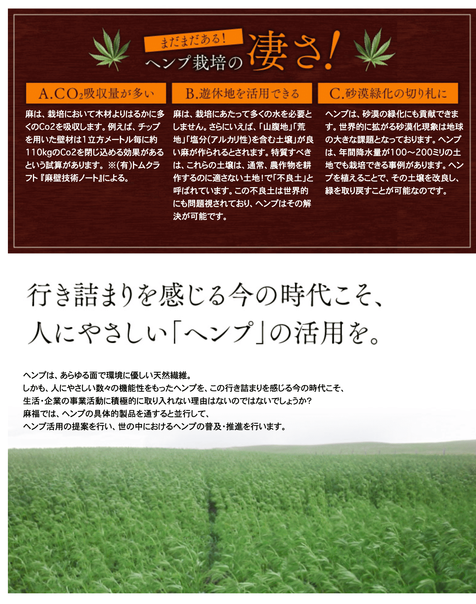 ヘンプ入門 8