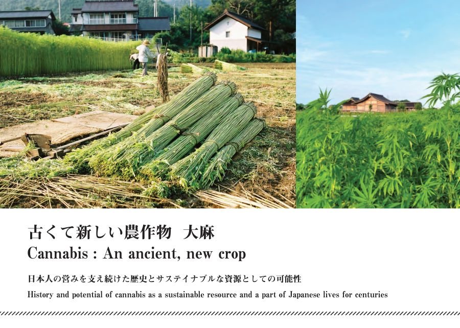古くて新しい農作物 大麻 36頁ビジュアルブックレット表紙